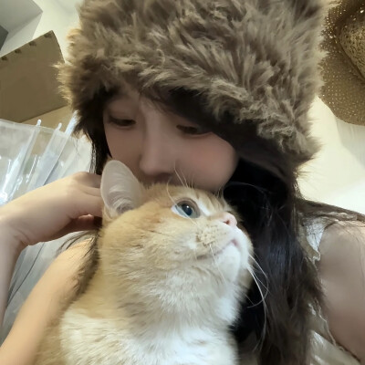 情头
猫猫与美女