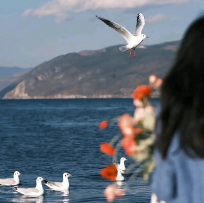 再回首，又能如何。