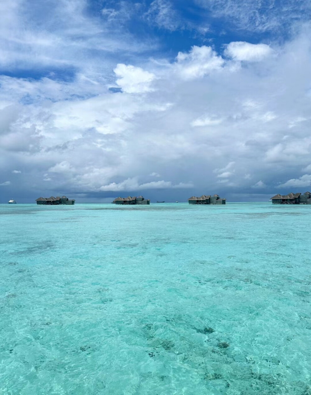 薄荷绿背景图 海的背景图