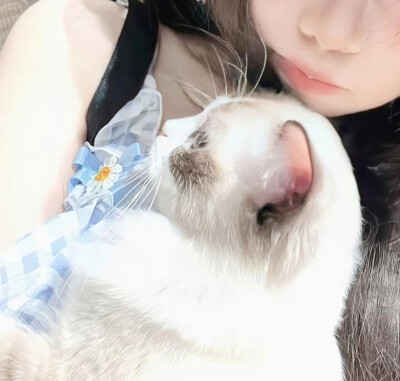 如果我是只黑猫九条命都替你挡灾๑>ᴗ<๑
图源网络侵删致歉