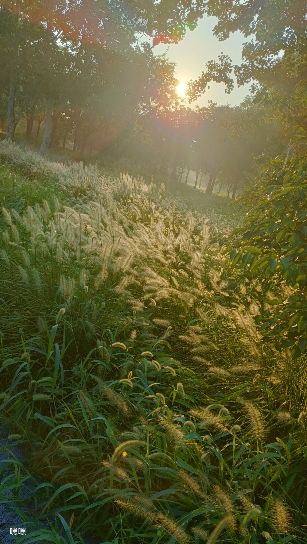 晨曦、正午、晚霞每个时段都有美景。 ​​​