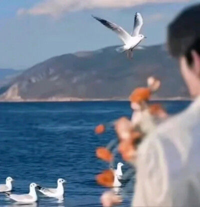 再回首，又能如何。