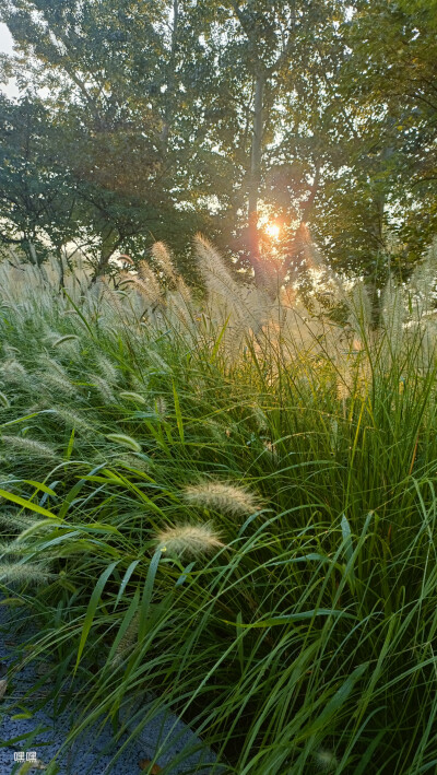 晨曦、正午、晚霞每个时段都有美景。 ​​​