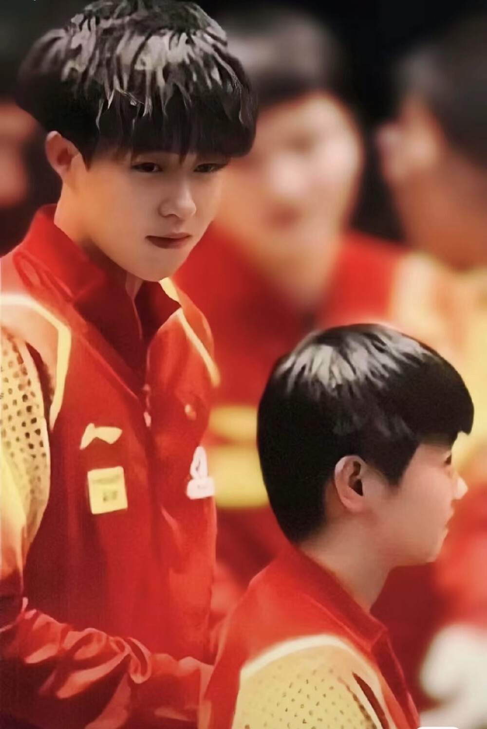 莎莎