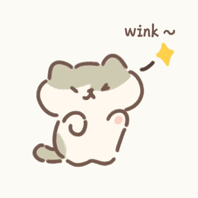 遇见你的猫