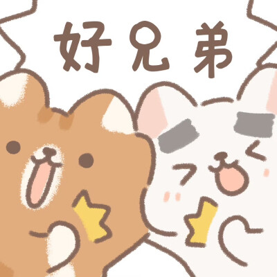 遇见你的猫