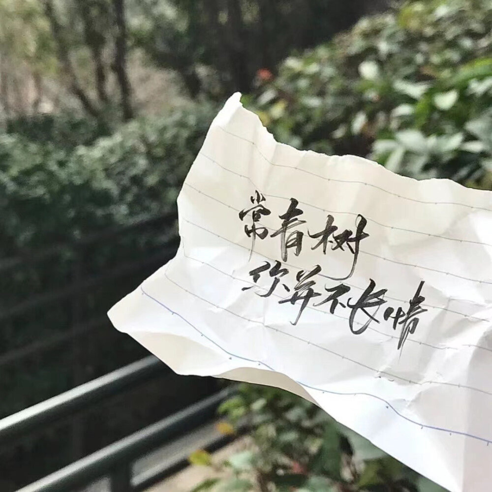 亲爱的兰花娘子，两周年快乐