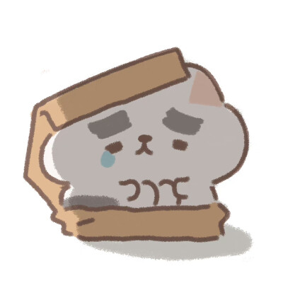 遇见你的猫