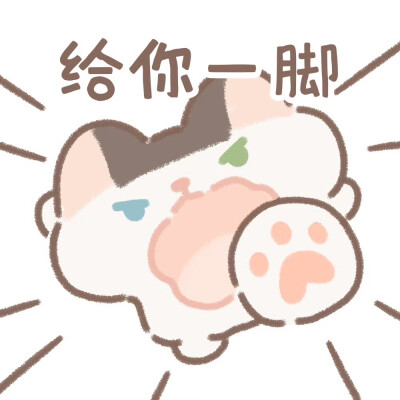 遇见你的猫