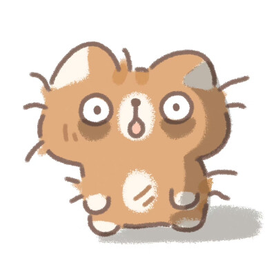 遇见你的猫