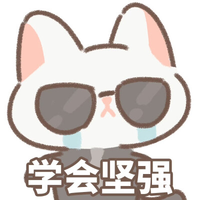遇见你的猫
