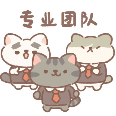 遇见你的猫