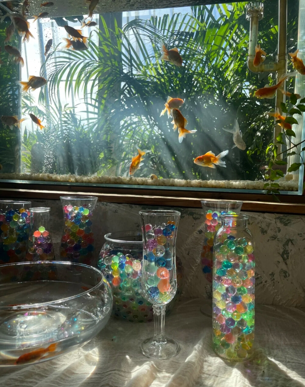 梦幻背景图 鱼的背景图
