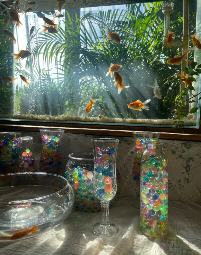 梦幻背景图 鱼的背景图