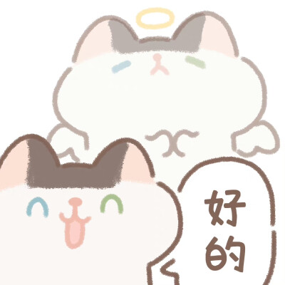 遇见你的猫