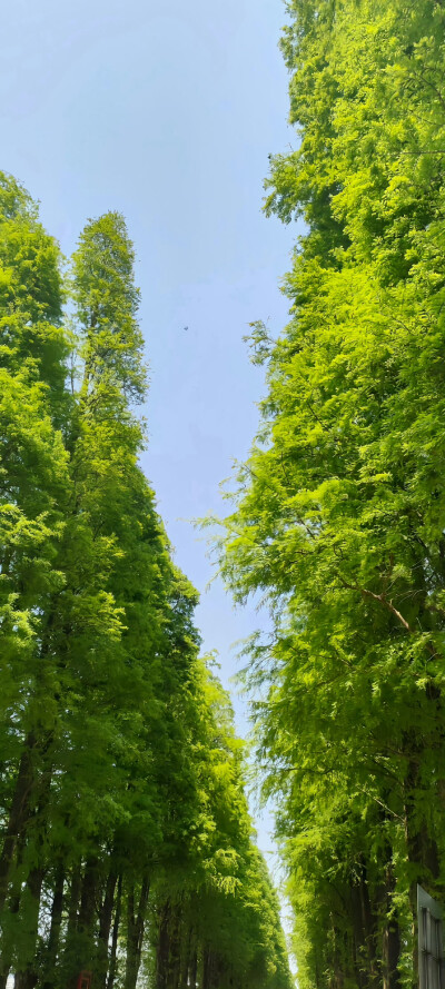 锁屏壁纸