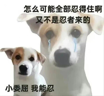 公主不听