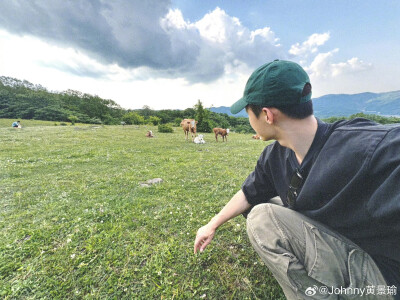 20240605 黄景瑜 "牛 马 云 树 山 没信号"