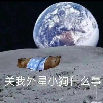 打工人表情包