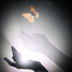 蝴蝶最后会飞向自由
Butterflies eventually fly to freedom.

·鞠婧祎
cr.槐花源