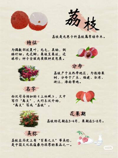 荔枝