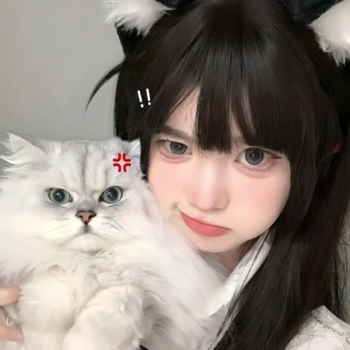 情头 “对象不是人系列”