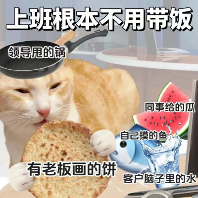 沙雕猫咪表情包