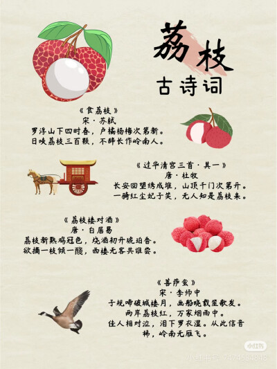 荔枝