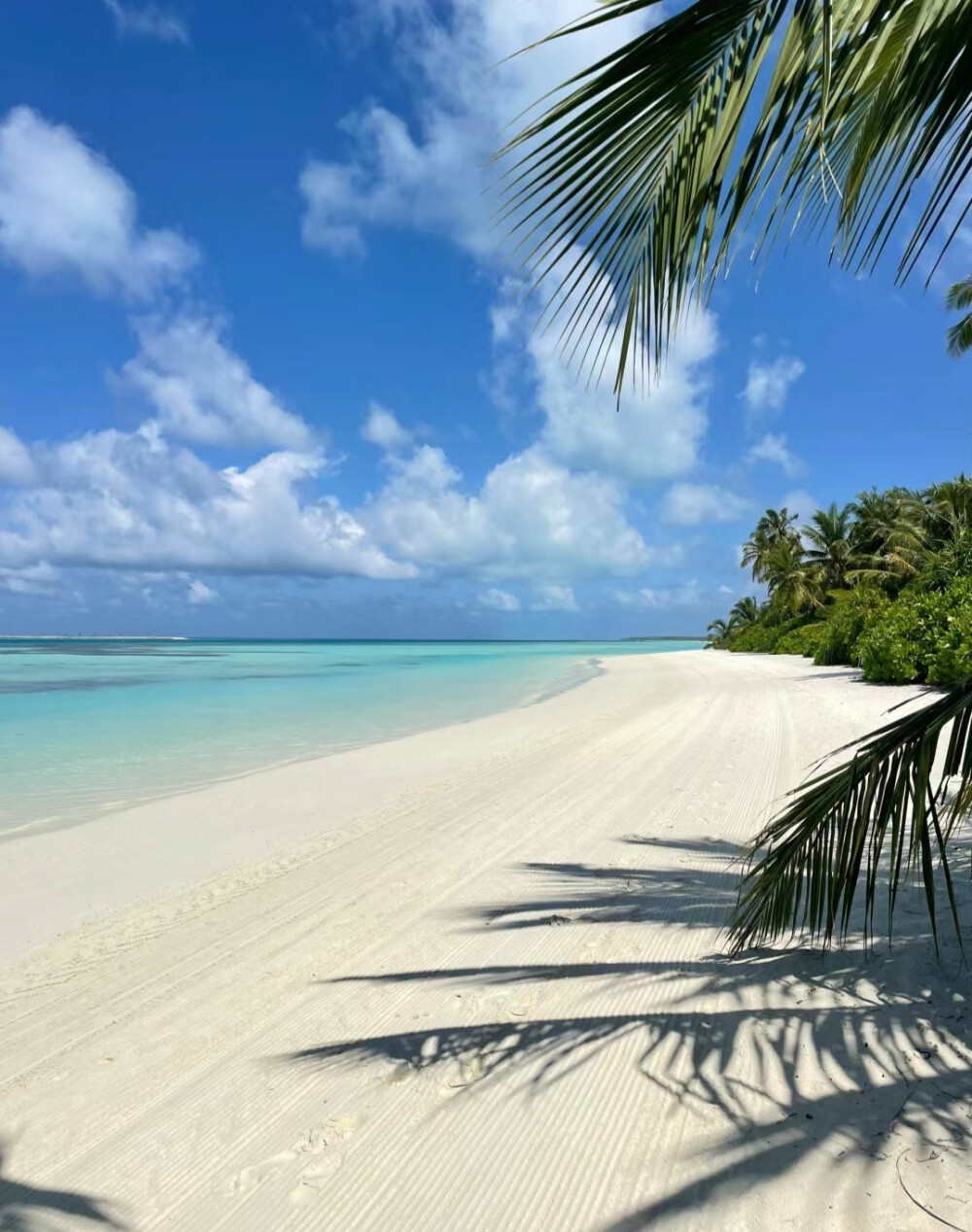 海的背景图蓝色系背景图