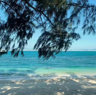 海的背景图 蓝色系背景图
