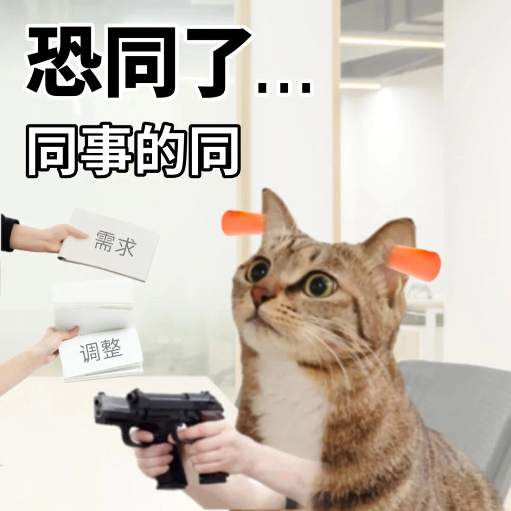 沙雕猫咪表情包