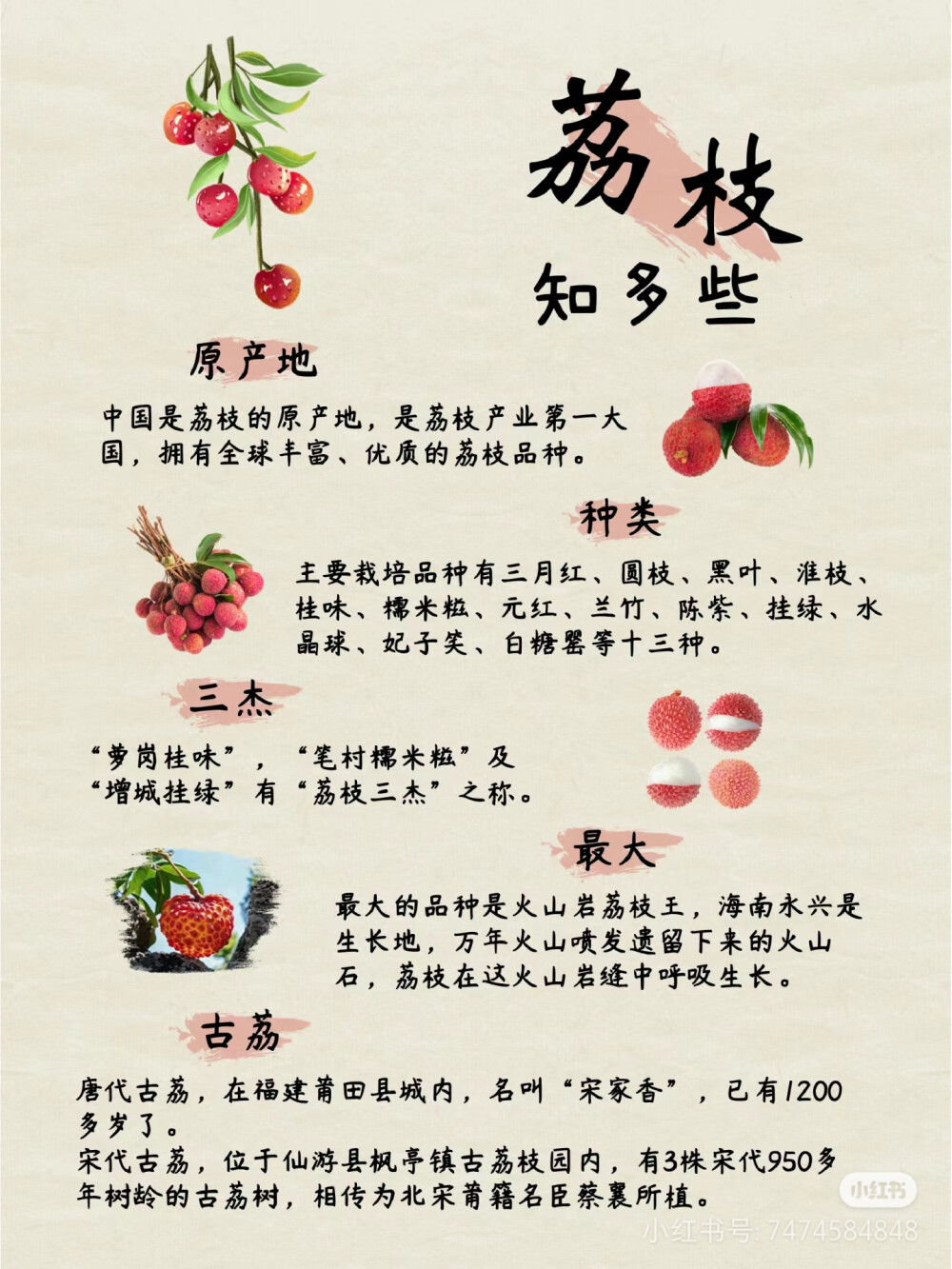 荔枝