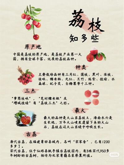 荔枝
