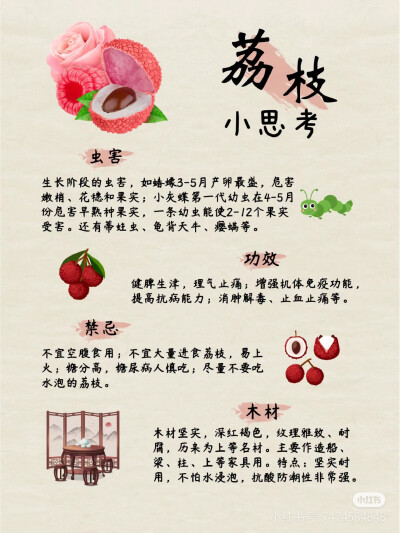 荔枝