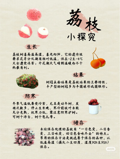 荔枝