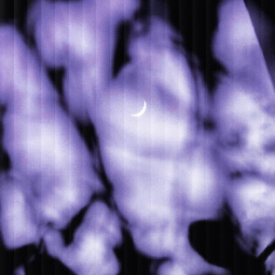 愿你被很多人爱，如果没有，愿你在寂寞中学会宽容
（背景图:@甜岛店长）