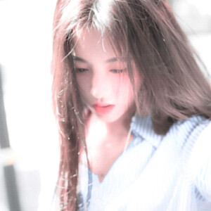 藍色茉莉'Blue Jasmin'