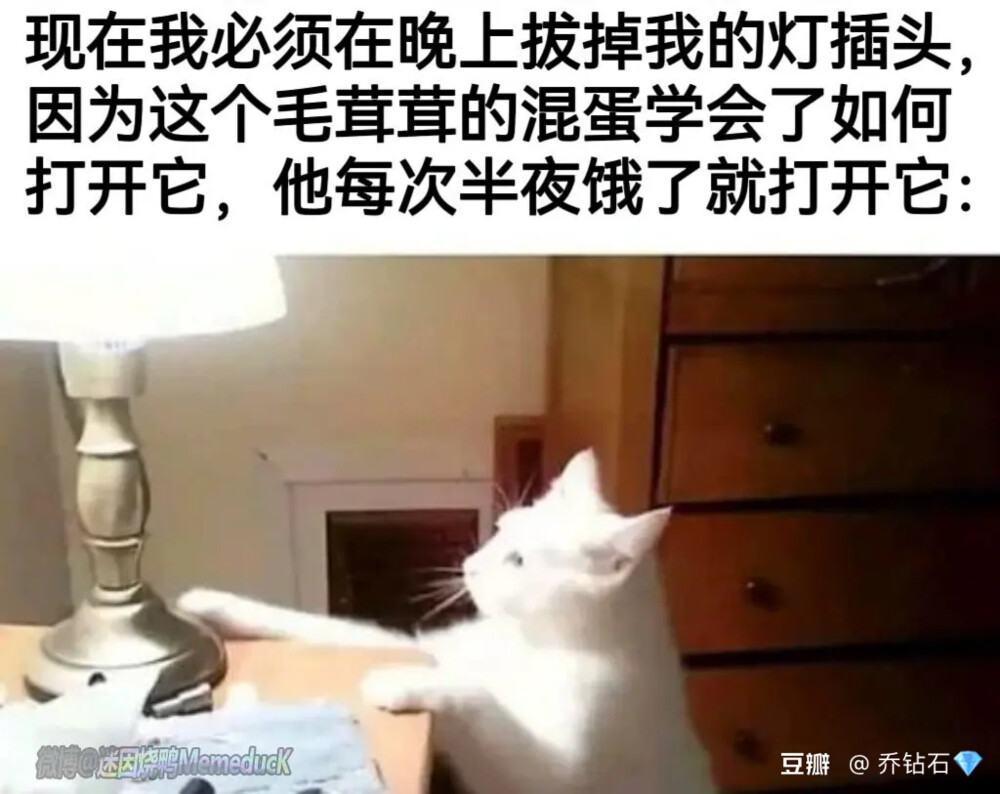 哈哈哈