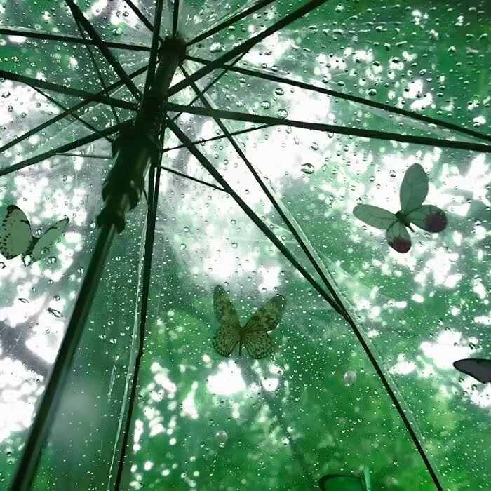 Butterfly*『今日份野餐の热爱春野俘绿 』