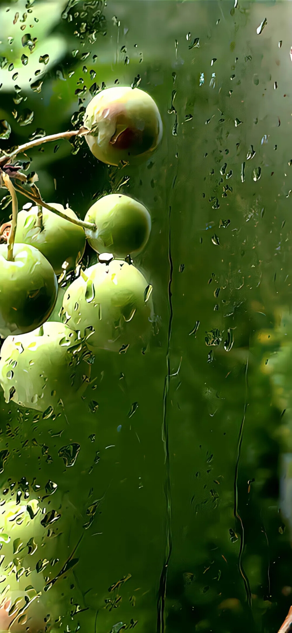 故事的开头繁华的邂逅