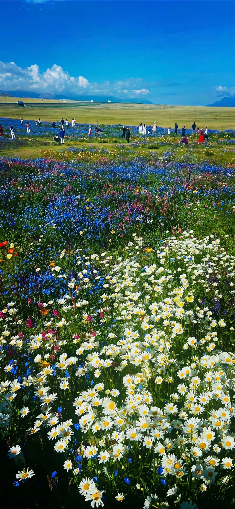 故事的开头繁华的邂逅