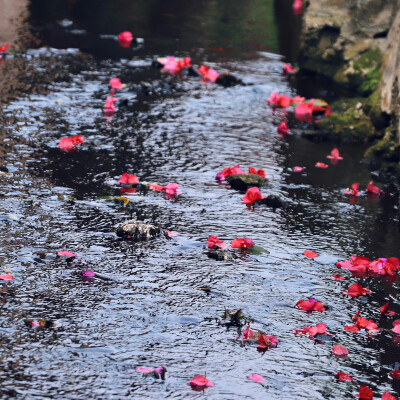 雨天背景图