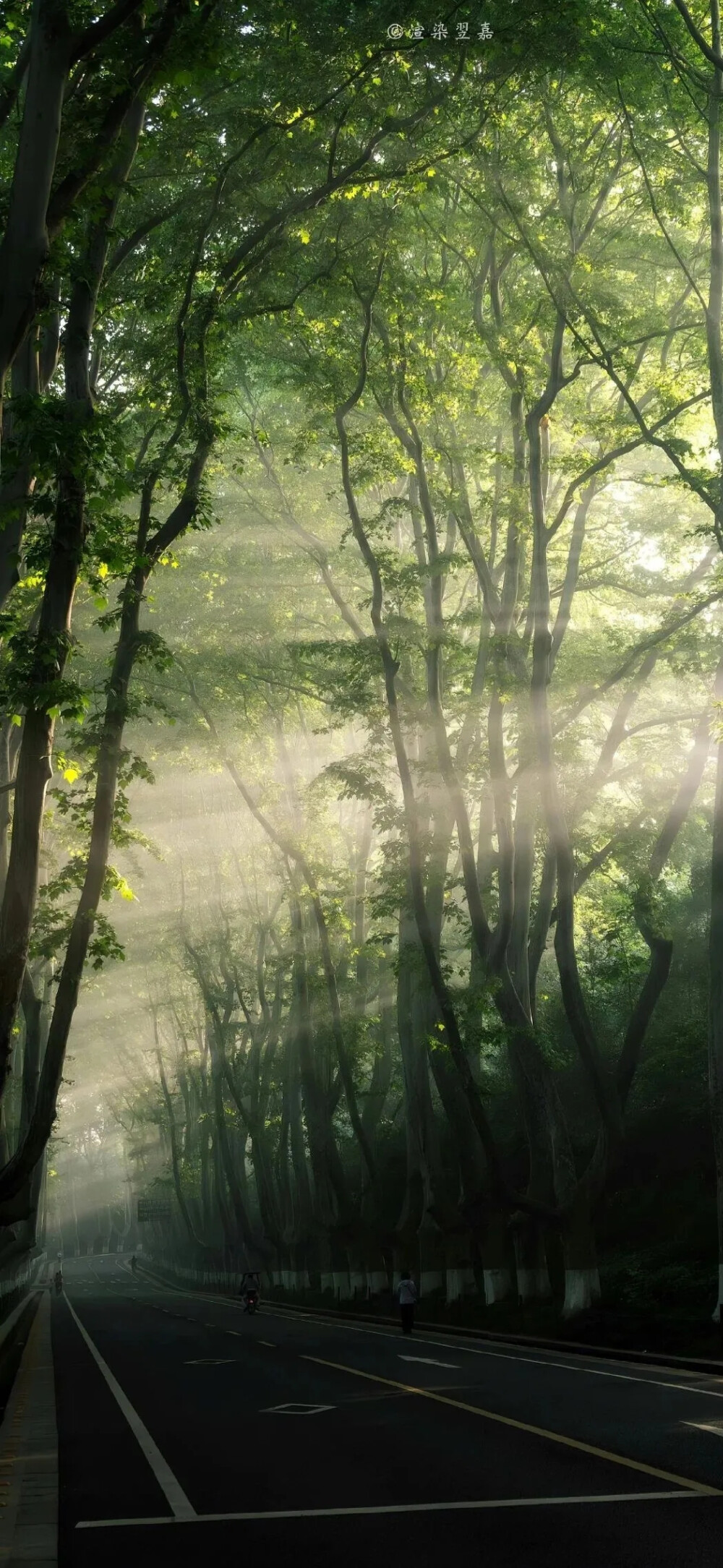 故事的开头繁华的邂逅