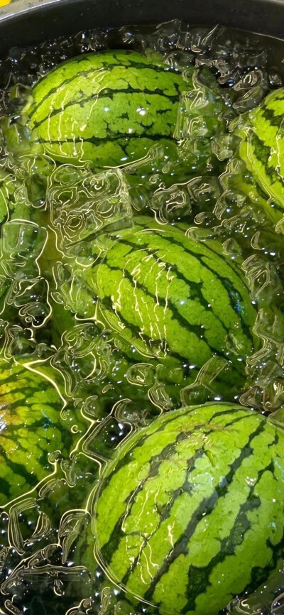 故事的开头繁华的邂逅