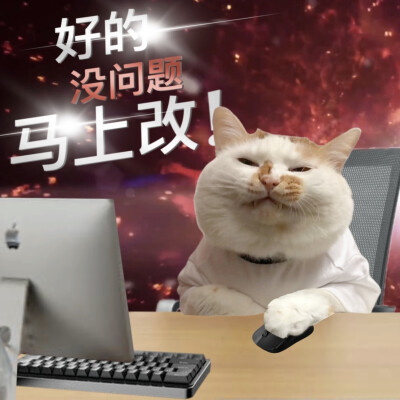 打工猫头像