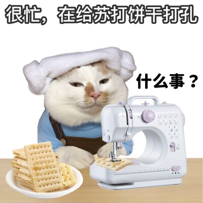 打工猫头像