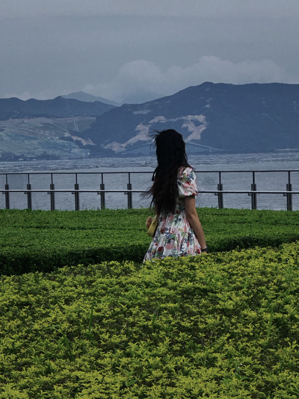 这个七夕是和霓霓度过，谢谢霓的花花