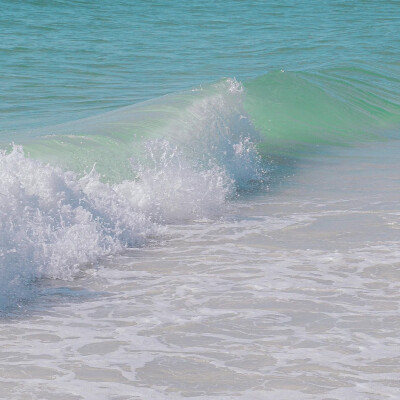 薄荷绿背景图 海的背景图