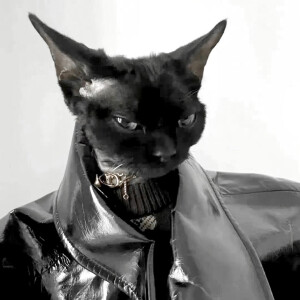 ₊⁺✞ 暗 & 黑 ✟⁺₊