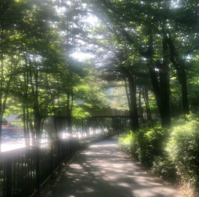 朦胧感背景图 光的背景图